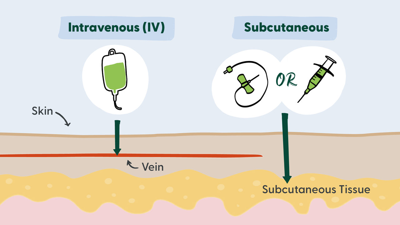 Illustration of how biologics go into the body